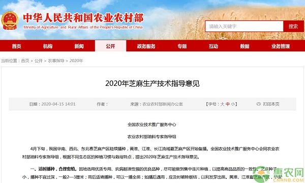 2020年芝麻生产技术指导意见-图片版权归惠农网所有