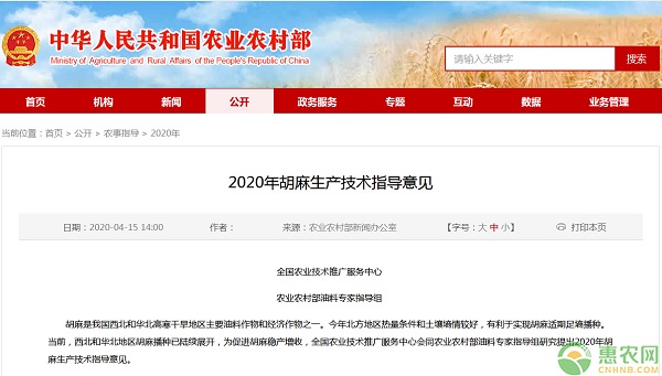2020年胡麻生產技術指導意見-圖片版權歸惠農網所有