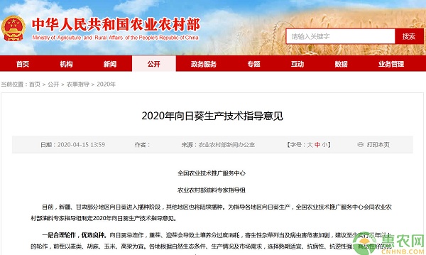 2020年向日葵生產(chǎn)技術(shù)指導(dǎo)意見-圖片版權(quán)歸惠農(nóng)網(wǎng)所有