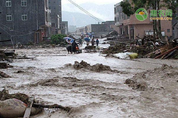 湖南迎来最强降雨，各地降雨最新情况如何？