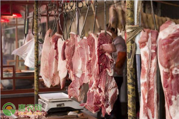 2020年7月全国猪肉价格行情预测及走势分析