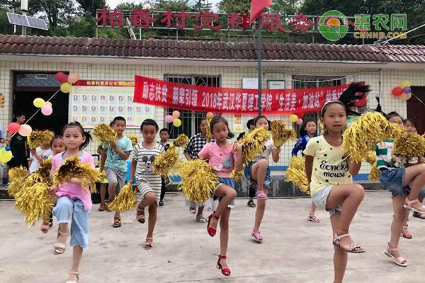 扩散!义务教育教师平均工资低于当地公务员,可举报!