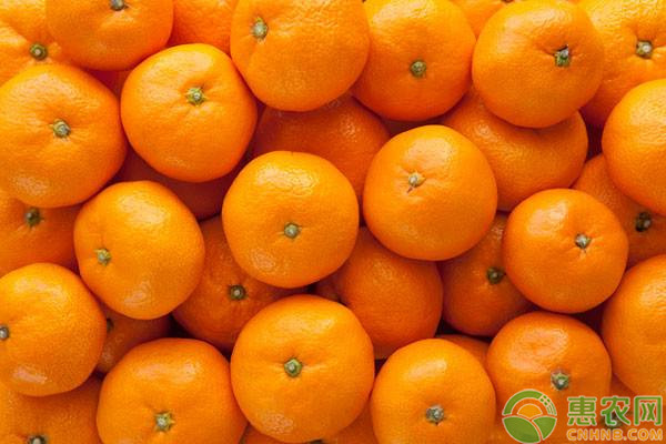 種植課堂：用果皮做肥料發(fā)酵幾天稀釋多少水？-圖片版權(quán)歸惠農(nóng)網(wǎng)所有