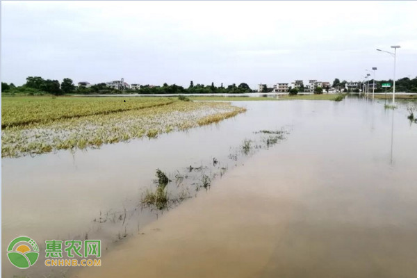 今起新一轮强降雨又将登场！此次降雨具体涉及到哪些省份？