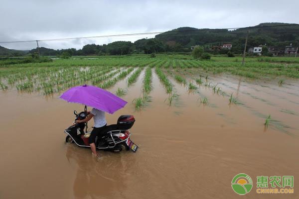 水利部：水旱灾害防御应急响应提升至Ⅲ级