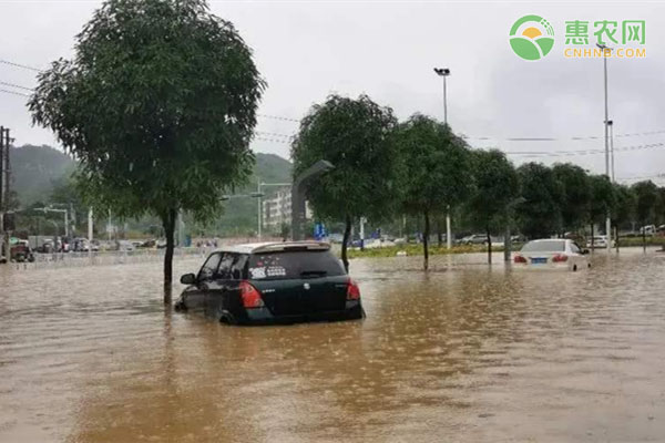 中国气象局启动三级应急响应，暴雨预警升级！