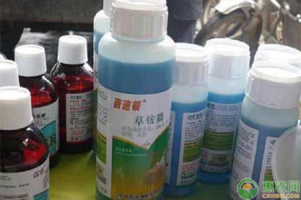 草銨膦可以防治哪些雜草種類？使用方法是什么？-圖片版權(quán)歸惠農(nóng)網(wǎng)所有