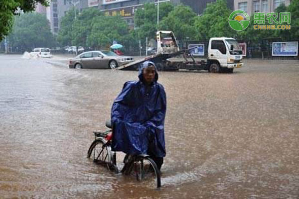 湖南再次发布暴雨橙色预警，哪些地区影响较大？