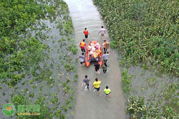 湖南再次发布暴雨橙色预警，哪些地区影响较大？