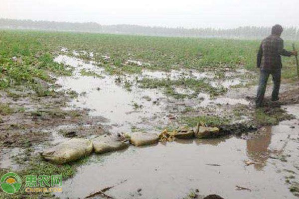 湖南再次发布暴雨橙色预警！什么是暴雨橙色预警？如何分级？