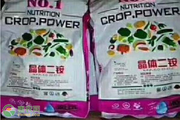 磷肥對植物的作用有哪些？磷肥如何科學使用？-圖片版權歸惠農網(wǎng)所有