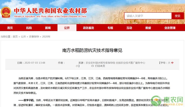 南方水稻防澇抗災(zāi)技術(shù)指導(dǎo)意見-圖片版權(quán)歸惠農(nóng)網(wǎng)所有