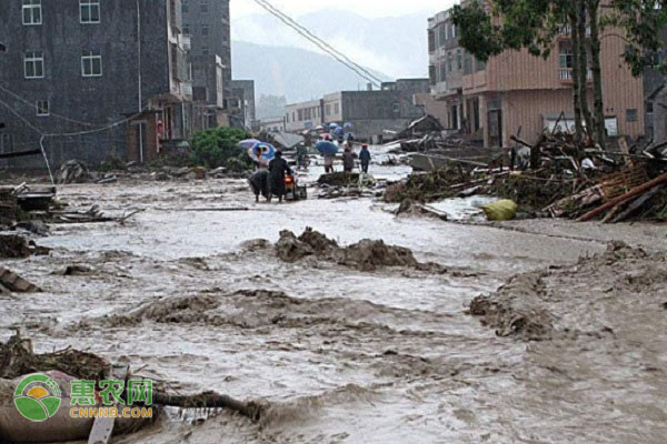 长江流域平均降雨近60年同期最多，今年汛情有何特点？