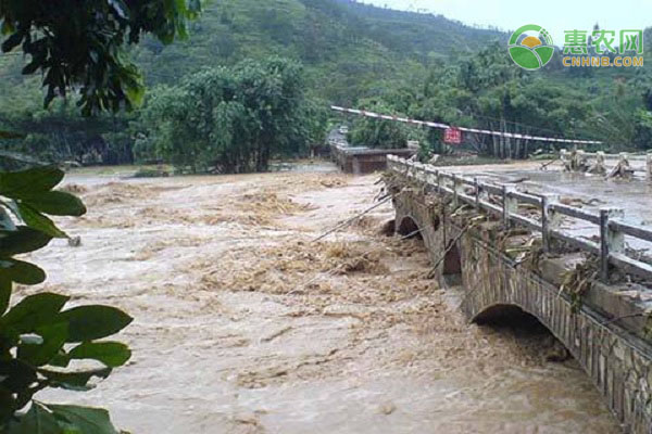 长江流域平均降雨近60年同期最多，今年汛情有何特点？