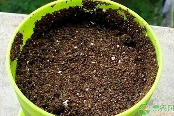 如何快速讓土壤變酸性？-圖片版權(quán)歸惠農(nóng)網(wǎng)所有