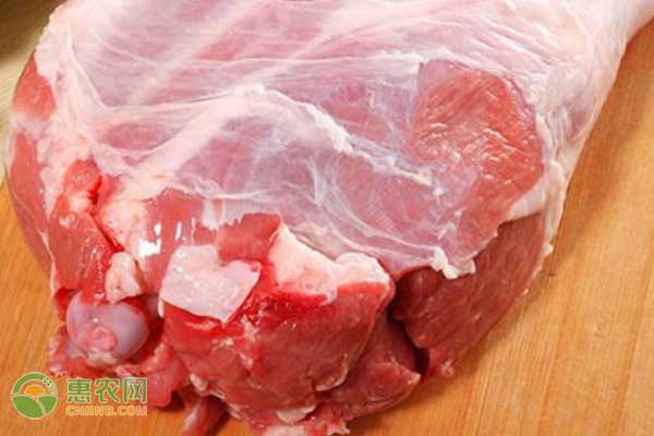 2020年8月全国羊肉价格最新行情
