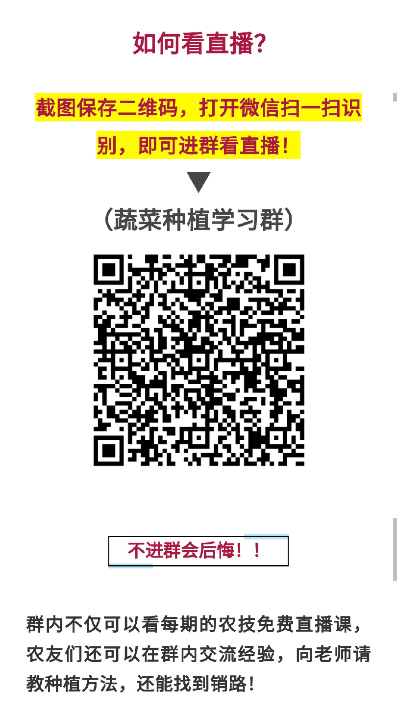 直播課：黃瓜這2大病害，一定要解決！-圖片版權(quán)歸惠農(nóng)網(wǎng)所有