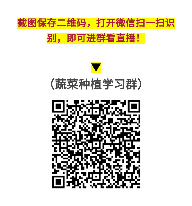 直播課：黃瓜這2大病害，一定要解決！-圖片版權(quán)歸惠農(nóng)網(wǎng)所有