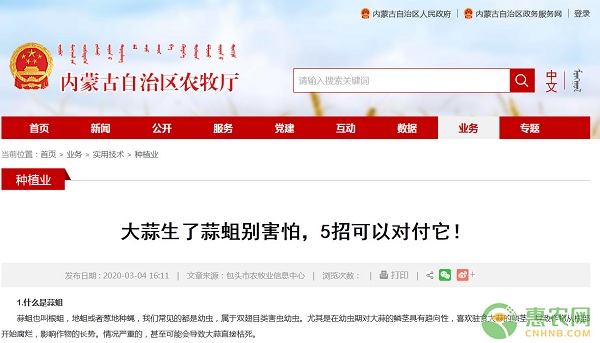 蒜蛆發(fā)生的原因和防治-圖片版權(quán)歸惠農(nóng)網(wǎng)所有