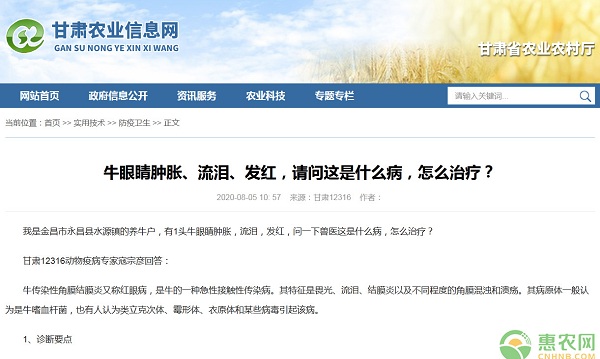 牛眼睛腫脹、流淚、發(fā)紅是什么?。吭趺粗委?？-圖片版權(quán)歸惠農(nóng)網(wǎng)所有