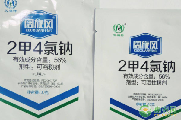 二甲四氯的使用方法及注意事項-圖片版權(quán)歸惠農(nóng)網(wǎng)所有