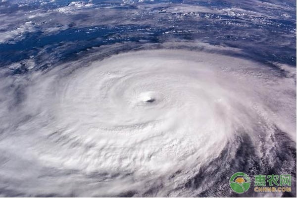2020年首个台风红色预警发布，“巴威”即将正面袭东北！