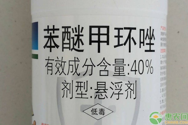 苯醚甲環(huán)唑防治什么病害？使用要注意什么？-圖片版權(quán)歸惠農(nóng)網(wǎng)所有