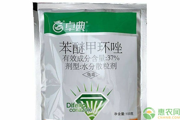 苯醚甲環(huán)唑防治什么病害？使用要注意什么？-圖片版權(quán)歸惠農(nóng)網(wǎng)所有