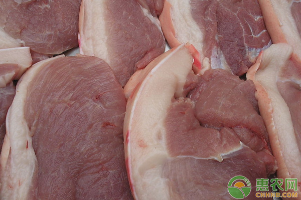 今日猪肉价格多少钱一斤？2020年8月28日全国猪肉价格行情走势