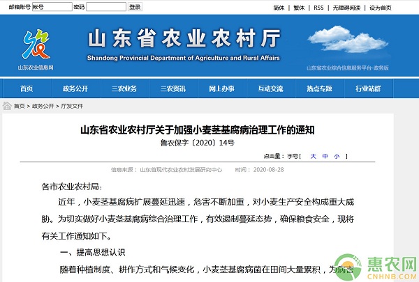 山東省小麥莖基腐病綜合治理技術(shù)意見-圖片版權(quán)歸惠農(nóng)網(wǎng)所有