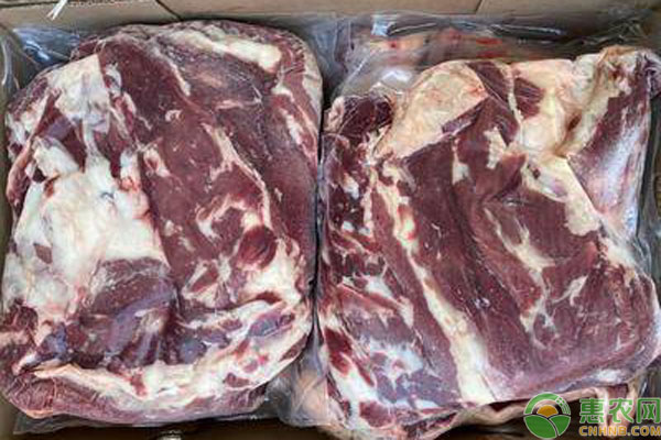 2020年9月全国牛肉价格最新行情预测