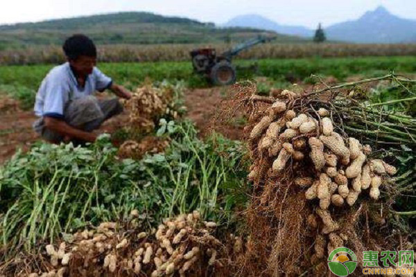 南北地区9月农事大全-图片版权归惠农网所有