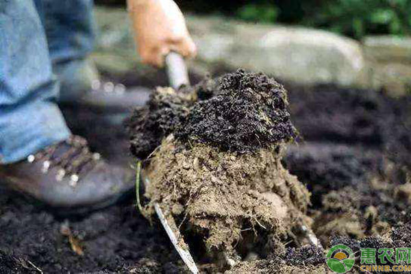 湖北省印发关于2020年果菜茶有机肥替代化肥试点工作实施方案