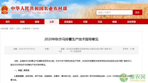 2020年秋作馬鈴薯生產技術指導意見-圖片版權歸惠農網所有