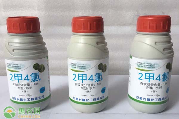 二甲四氯鈉除草劑作用是什么？如何正確使用？-圖片版權(quán)歸惠農(nóng)網(wǎng)所有