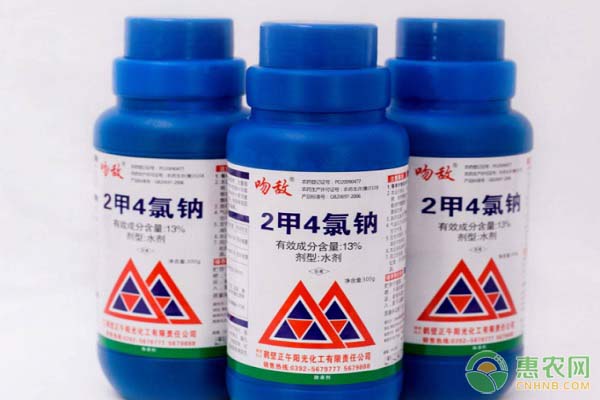 二甲四氯鈉除草劑作用是什么？如何正確使用？-圖片版權(quán)歸惠農(nóng)網(wǎng)所有