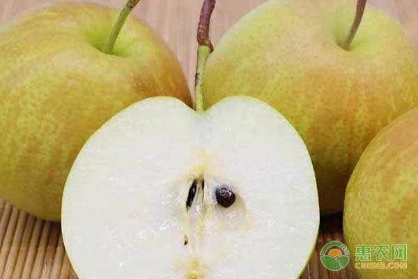 苹果梨价格多少钱一斤？苹果梨是转基因水果吗？（附前景分析）