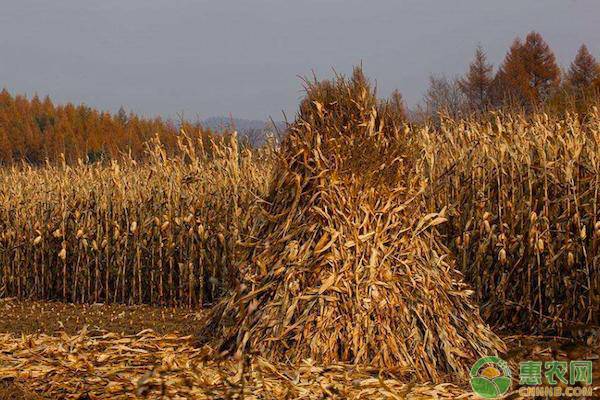 农业农村部关于支持黑龙江省秸秆综合利用的提案答复