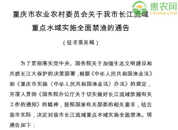 重庆市长江重点水域实施全面禁渔的通告（征求意见稿）