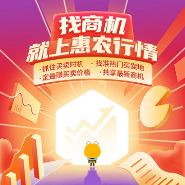 蒜黄的种植方法-图片版权归惠农网所有