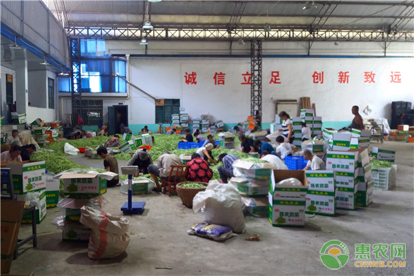 江苏省出口农产品示范基地（区）管理办法（征求意见稿）