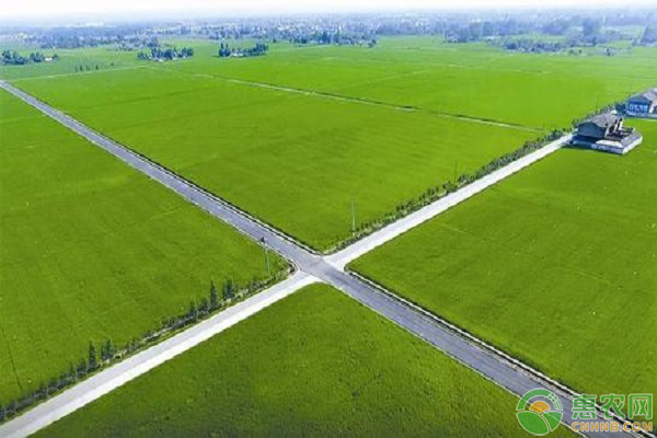 海南省关于切实加强高标准农田建设提升粮食安全保障能力的实施意见