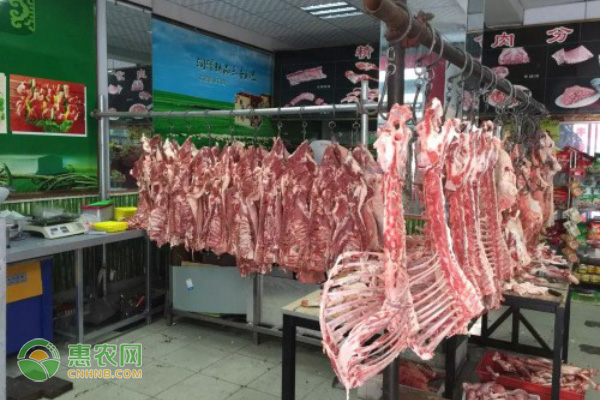 2021年2月羊肉价格最新行情预测及走势分析