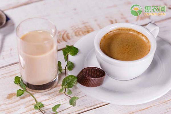 广东奶茶消费全国第一是什么情况？为何奶茶很受欢迎？