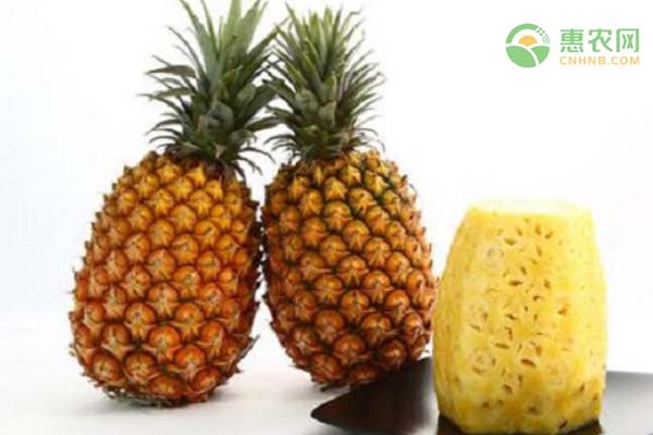 台湾凤梨被禁，菠萝价格水涨船高，最终受益者是谁？