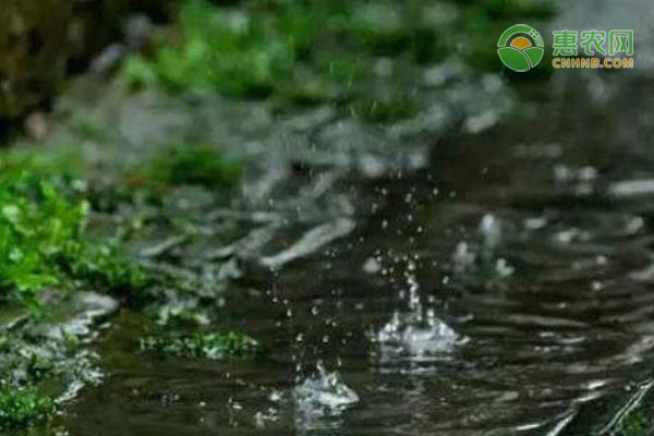 持續(xù)降雨影響下種植業(yè)生產(chǎn)應(yīng)對(duì)技術(shù)措施-圖片版權(quán)歸惠農(nóng)網(wǎng)所有