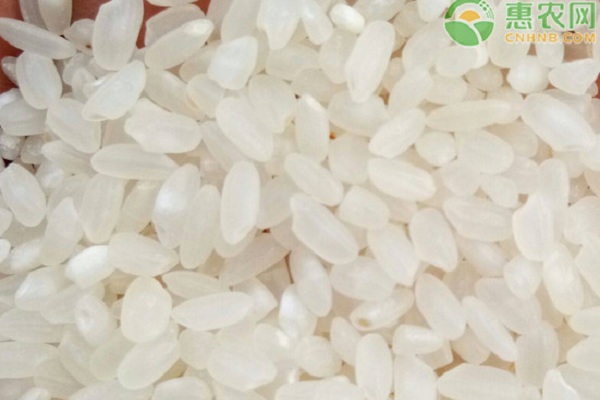 贡米和普通大米的区别有哪些？