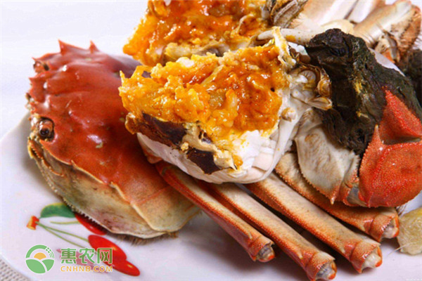 姜堰簖蟹是哪里的特产？有何特点？