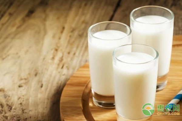 水牛奶和純牛奶有什么區別？
