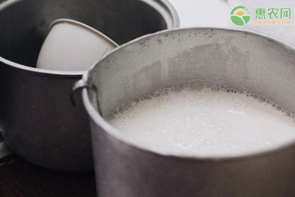 水牛奶和純牛奶有什么區別？